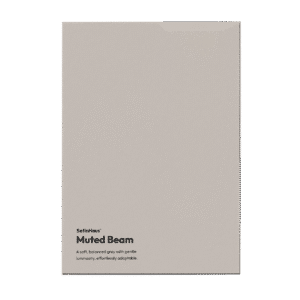 Muted Beam Sample